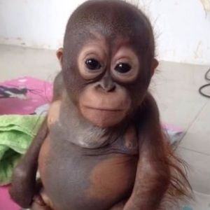 Meet your Posher, Geo